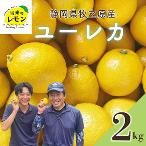 yӂ邳Ɣ[Łz qVY g背 [J [ꂩ 1`2kg Y Lemon EG k k t[c ʕ _ς ʓ _ hܕsgp É qVs
