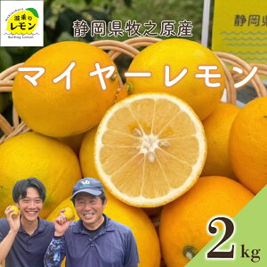 �y�ӂ邳�Ɣ[�Łz �q�V���Y �g��背���� �}�C���[������ �I�ׂ� ���e�� 1~2kg ���Y Lemon �E�G ���k�� ���k �t���[�c �ʕ� �_���ς� �ʓ� �_�� �h���ܕs�g�p ����p �����i �������� �Y�� �C�G