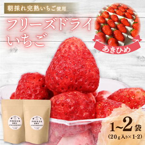 yӂ邳Ɣ[Łz t[YhC C`S Iׂ e 20g~40g  Xgx[  t[c ʕ ʎ  hCt[c َq gbsO [Og fU[g  _