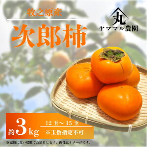 yӂ邳Ɣ[Łz ys\zY` 3kg 12 ` 15 2025N11{菇\ ʌ `  JL Y` 낤 ʕ  t[c { _ƒ Yn p v[