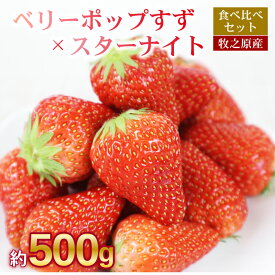 【ふるさと納税】 ベリーポップすず ＆ スターナイト 500g いちご 食べ比べ ギフト 産地直送 朝採り スイーツ フルーツ 果物 大粒 完熟 イチゴ 苺 完熟 直送 ギフト 贈答用 贈答 ギフト ビタミン ベリー 産地直送 国産 おすすめ 静岡 県 牧之原 市 極美屋 KIWAMIYA