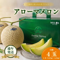 楽天市場】アールスメロン（総個数4個入り）（メロン｜フルーツ・果物 