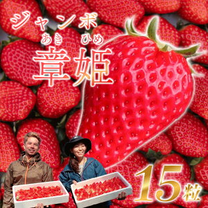 yӂ邳Ɣ[Łz s\ Y  W{͕P 15 ~ 18  ×2 pbN t[c XC[c fU[g  ʕ Xgx[ Â  嗱 Z VN É qVs 
