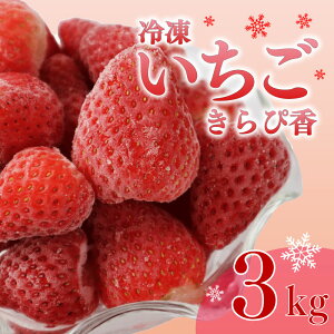 yӂ邳Ɣ[Łz  Ⓚ VN Y ؔ_ Ⓚ ҍ 1kg × 3 3kg t[c fU[g V[xbg  Â É qVs ؔ_