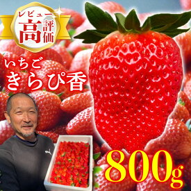 【ふるさと納税】 予約受付 いちご 新鮮 国産 鈴木農園の 朝摘み いちご きらぴ香 800g 〜 1.6kg 選べる 容量 パック デザート フルーツ イチゴ 苺 おいしい 甘い 静岡県 牧之原市 鈴木農園