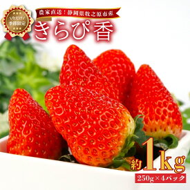 【ふるさと納税】 2026年2月中旬発送予定 いちご きらぴ香 1kg 250g × 4パック 産地直送 フルーツ 苺 果物 ギフト プレゼント 贈り物 贈答品 新鮮 甘い 美味しい 旬 季節限定 農家直送 数量限定 先行予約 静岡いちご 牧之原いちご 牧之原苺 静岡苺 牧之原市 静岡県 ヤマセン