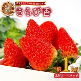 【ふるさと納税】 いちご きらぴ香 1kg 2027年2月上旬発送予定 250g × 4パック 産地直送 フルーツ 苺 果物 ギフト プレゼント 贈り物 贈答品 新鮮 甘い 美味しい 旬 季節限定 農家直送 数量限定 先行予約 静岡いちご 牧之原いちご 牧之原苺 静岡苺 牧之原市 静岡県 ヤマセン