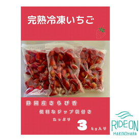 【ふるさと納税】152-1 鈴木農園 冷凍いちご （きらぴ香）3kg / 冷凍イチゴ フルーツ 果物 国産