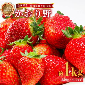 【ふるさと納税】 2026年2月中旬発送予定 いちご かおり野 1kg 250g × 4パック 産地直送 フルーツ 苺 果物 ストロベリー 牧之原苺 牧之原いちご 静岡苺 静岡いちご 静岡県 牧之原市産 ヤマセン