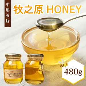 yӂ邳Ɣ[Łz ݂͂ 2r 240g×2r SԖ n`~c I Y Zbg lߍ킹 Yn VR  M N Mtg v[g 蕨 yY H p g[Xg [Og g