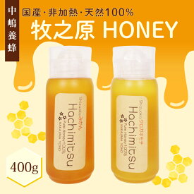 【ふるさと納税】 牧之原HONEY はちみつ チューブ 400g 蜂蜜 はちみつ 国産 中嶋養蜂園 純粋 高糖度 保存食 母の日 父の日 敬老の日 チューブ 簡単 食卓 安心 安全 非加熱 みかん 蜜 クロガネモチ 天然 100% 濃厚 自然 酸味 フルーティー 静岡県 牧之原市 贈答 プレゼント