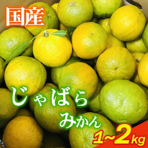 yӂ邳Ɣ[Łz _ ΂ 1~2kgȏ 11{`12 k ݂ _ʏ` ʎ _ƒ Yn Mtg v[g   Ε  VN Y 