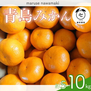 yӂ邳Ɣ[Łz Iׂ e ݂  ݂  5kg ` 10kg s\ 2025N 12 {   ~J  k ʕ t[c ʌ ʏ` ʎ _  Mtg   Y 