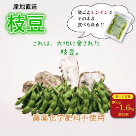 【ふるさと納税】 【選べる容量!】レンチン 枝豆 800g 〜 1.6kg 農薬不使用 個包装 200g × 4食 〜 8食分 野菜 えだまめ おつまみ 小分け 便利 動物性肥料不使用 農家直送 産地直送 新鮮 国産 edama 牧之原市 静岡県