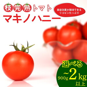 yӂ邳Ɣ[Łz g}g  900g?2kg ȏ }Lmnj[ }n g}g g}gbv  Rs ܂ Â VN  Yn ₳ r^~ É qVs