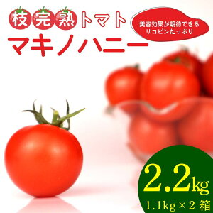 yӂ邳Ɣ[Łz }n}Lmnj[ g}gbv Rs ܂ g}g Ƃ܂  ₳ VN Yn   T_ Ė É qVs