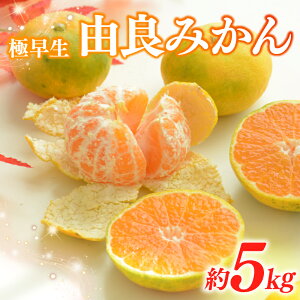 yӂ邳Ɣ[Łz ݂ R 5kg k ~J  ɑ r^~ t[c ʕ ʎ   N e Δ_ É qVs