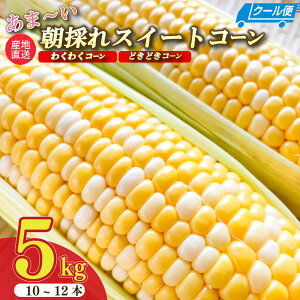 yӂ邳Ɣ[Łzy\t ߘa8N6甭Jnz Ƃ낱 ̂  XC[c  2.5kg ~ 5kg x18`19x \t \ Â ܂ W[ o[xL[ BBQ Yn VN 