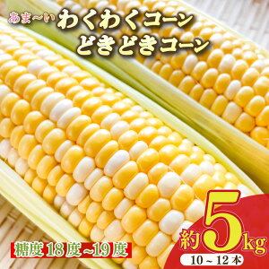 yӂ邳Ɣ[Łzy\t ߘa8N6甭Jnz Ƃ낱  XC[c 10`12 {  5kg x18~19x \t \ Â ܂ W[ Lv o[xL[ BBQ Yn VN 