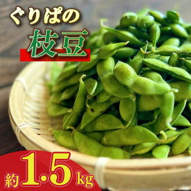 【ふるさと納税】 【予約受付令和8年6月から発送開始】 野菜 枝豆 1.5kg ~ 2.5kg えだまめ 予約 予約受付 おつまみ お酒 陽恵 新鮮 朝採れ つまみ ビール 送料無料 期間限定 数量限定 産地直送 バーベキュー キャンプ おやつ お弁当 夜食 静岡県 牧之原市 ショップ ぐりぱ