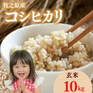 �y�ӂ邳�Ɣ[�Łz �R�V�q�J�� ���� 5~ 10kg�����Ђ��� ���� �� �l�C �V�� �ߘa7�N�x�Y 2025�N�x 2025�N�Y ���͂� ���� �S�n�� �������� �������� ���� �R�� ������ �������� ���ɂ��� �H�i �ƒ�p 