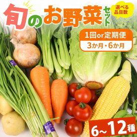 【ふるさと納税】 【選べる定期便】 野菜 セット 6〜12品目 以上 選べる 定期便 回数 内容量 ライフスタイル お野菜 季節 野菜 旬 新鮮 産地直送 詰め合わせ やさい おいしい 自然 セット 美味しい たっぷり 丸新柴本製茶 静岡県 牧之原市