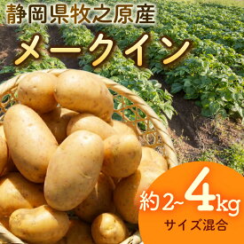 【ふるさと納税】 【先行予約 2027年3月順次発送 国産 じゃがいも】選べる容量 じゃがいも 2~4kg メークイン 国産 牧之原産 美味しい たっぷり 野菜 国産 新鮮 お試し 牧之原産 サラダ 野菜 朝採れ 季節の野菜 食品 常温 お取り寄せ とれたて 丸新柴本製茶 静岡県 牧之原市