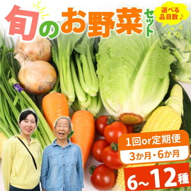 【ふるさと納税】 【選べる定期便】 野菜 セット 6〜12品目 以上 選べる 定期便 回数 内容量 ライフスタイル お野菜 季節 野菜 旬 新鮮 産地直送 詰め合わせ やさい おいしい 自然 セット 美味しい たっぷり 丸新柴本製茶 静岡県 牧之原市