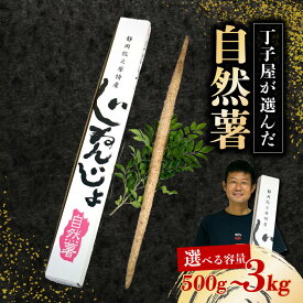 【ふるさと納税】 【R7年12月上旬からの発送】 自然薯 丁子屋 新鮮 健康 長寿 とろろ 山芋 ジネンジョ 自然食品 ヤマトイモ 滋養強壮 粘り 栄養豊富 ビタミン ミネラル 食物繊維 免疫力 アミノ酸 台地 ご馳走 500g 〜 3kg 選べる 容量 特産品 健康 静岡県 牧之原市