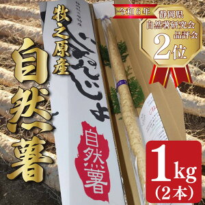 yӂ邳Ɣ[Łz \t R 500g ~ 1kg 1{ ~ 2{ ˂񂶂 R }C R Ƃ Ƃ` Y {s s Ƃ낲 т̂ N h{   p ƒ
