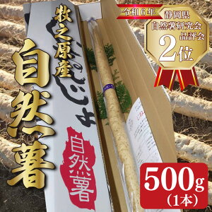 yӂ邳Ɣ[Łz \t R 500g ` 1kg 1{ ` 2{ ˂񂶂 R }C R Ƃ Ƃ` Y Ƃ낲 т̂ N h{   p ƒp p M