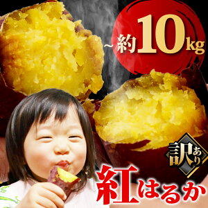 yӂ邳Ɣ[Łz 󂠂 g͂邩 3`10kg ܂ Tc}C F h{Lx H@ N v[g Y  S fU[g XC[c  Ă ₫ Ă 