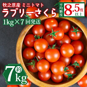 yӂ邳Ɣ[Łz ~jg}g t[cg}g u[ ܂ x 8.5x \ t Iׂ z   500g 1kg 7kg Y  Â g}g Mtg 蕨 Ƃ܂ T_ Yn