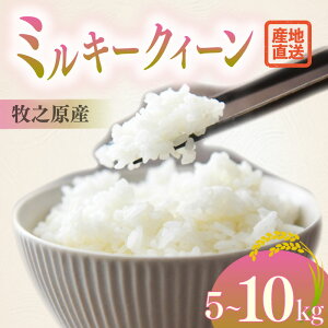 yӂ邳Ɣ[ŁzIׂ e ~L[NC[ 5kg ` 10kg      т͂  Y ͂   5kg    ٓ ނ ɂ Hi 