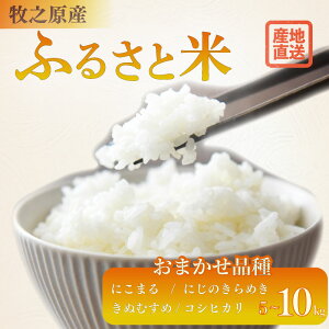 yӂ邳Ɣ[ŁzIׂ e 5kg ` 10kg  i ܂ y ɂ܂ ɂ̂߂ ʂނ RVqJ z       т͂  Y ͂  