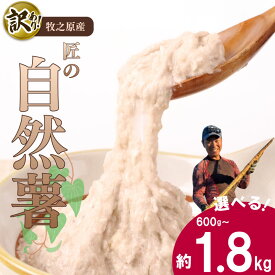 【ふるさと納税】 選べる 容量 訳あり 自然薯 個包装 自然薯 600g ~ 1.8kg じねんじょ 山芋 ヤマイモ 山いも とろろ とろろ汁 国産 とろろご飯　 自宅用 家庭用 贈り物 訳アリ プレゼント 小分け 個包装 食べきり 産地直送 農家直送 国産 たくみファーム 静岡県 牧之原市