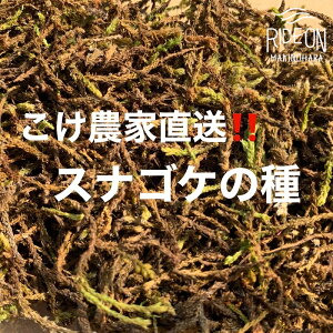 yӂ邳Ɣ[Łz  _  XiSP  5L  RP 뉀 K[fjO | Ή ~ eE R ϗtA GR ے ۋ ۃE nߗ RPE Ή ǖʗΉ moss