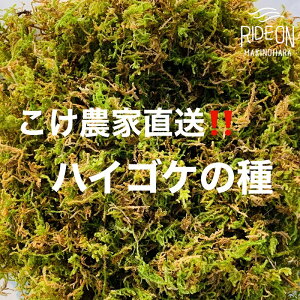 yӂ邳Ɣ[Łz _ƒ nCSP̎ 10L  RP | K[fjO ~ eE ϗtA CeA O[ Ή GR R DIY ۋ  ۂނ y ĕ ͔| 