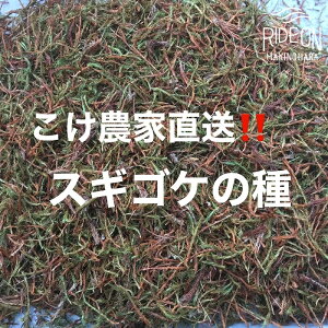 yӂ邳Ɣ[Łz  XMSP  10L _   RP ۋ eE ~ | K[fjO ϗtA CeA O[ R GR DIY  뉀 {뉀 a Ή ۂނ  A