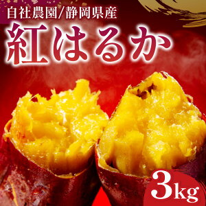 yӂ邳Ɣ[Łz g͂邩 3kg ܂ g͂邩  Y ÉY qVs ƒp H̖o x Ƃ Z Â Ă XC[g|eg   ǂ H  