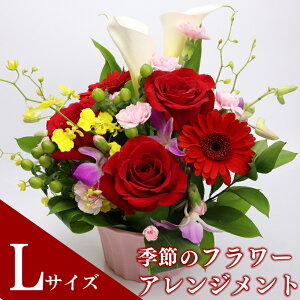 yӂ邳Ɣ[Łz G߂̂ t[AWg ԑ ̓ ̓ a J[l[V K[x 킢 蕨 v[g Mtg  j LO Cxg  Ǝ 