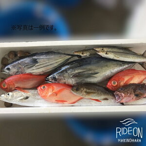 yӂ邳Ɣ[Łz x͘p rbN v~A VN  CN lߍ킹 N hg G { n É Y Yi O  蕨 Mtg Hה  Yn l NxQ 