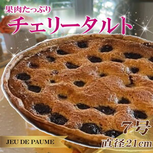 yӂ邳Ɣ[Łz ^g S AvRbg `F[ 7 a 21cm XC[c َq  mَq fU[g  P[L z[P[L 1z[ ʕ t[c Ⓚ LO a NX