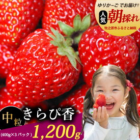 【ふるさと納税】 いちご きらぴ香 1.2kg 400g × 3パック 冷蔵発送 きらぴか 苺 イチゴ フルーツ 果物 スイーツ デザート 朝摘み 完熟 直送 ギフト 家庭用 贈答用 贈答 ギフト 贈り物 産地直送 国産 おすすめ 森木農園 静岡県 牧之原市 ～土耕栽培だから濃くて甘い!～