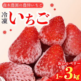 【ふるさと納税】 冷凍いちご 1〜3kg 完熟 おいCベリー ヘタ取り 静岡 限定 苺 果物 スイーツ デザート フルーツ アイス ジャム シャーベット ベリー 氷菓 甘い オススメ ギフト 人気 森木農園 いちごスムージー フローズンフルーツ 冷凍フルーツ 牧之原市 静岡県