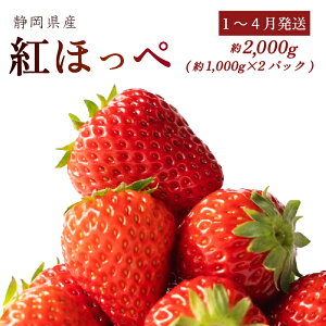 yӂ邳Ɣ[Łzy1~4z n Z  gق v 2000gȏ 퉷  C`S Xgx[ t[c ʕ p Mtg v[g { G ~ t Yn tbV 