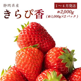 【ふるさと納税】 1月〜4月発送 きらぴ香 2000g以上 いちご 苺 ブランド果物 甘い ジャム スムージー ギフト おやつ ビタミン 美容 栄養 特産品 直送 新鮮 イチゴ ストロベリー フルーツ デザート スイーツ 産地直送 旬 高級 贈り物 プレゼント 牧之原市 静岡県