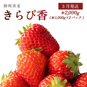 yӂ邳Ɣ[Łz 3 ҍ 2kgȏ   Â W X[W[ Mtg  r^~ e h{ Yi  VN uh t[c fU[g XC[c { 蕨 v[