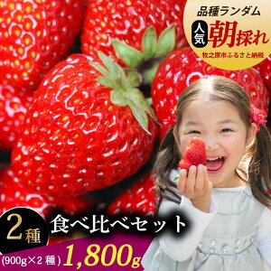 yӂ邳Ɣ[Łz  Hה Zbg 1800g  Hה 900g × 2 gق Cx[ ҍ 2i ① ① C`S t[c ʕ Mtg v[g { G ~ t Yn t
