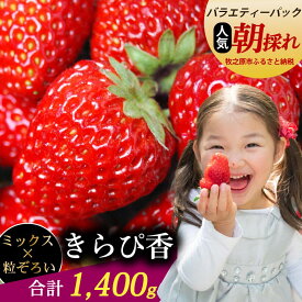 【ふるさと納税】 きらぴ香 1400g以上 いちご バラエティー パック 苺 イチゴ ゆりかーご 土耕栽培 フルーツ 果物 スイーツ 朝摘み 直送 完熟 ギフト 家庭用 贈答 贈り物 ブランド 甘い 農家直送 産地直送 国産 森木農園 静岡県 牧之原市 〜土耕栽培だから濃くて甘い!〜